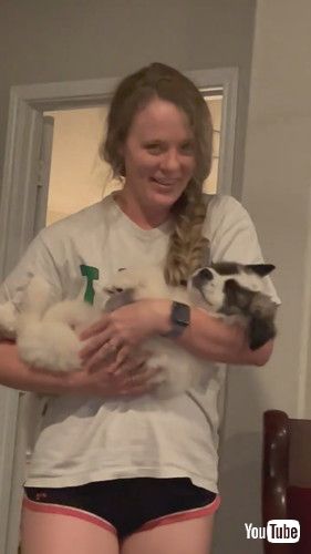 抱っこで眠る子犬