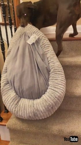 2階の寝室へ運ぶ