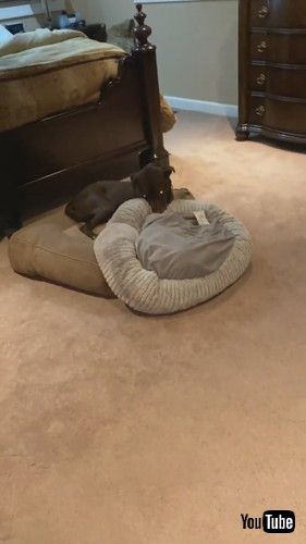 他のベッドで寝ながら