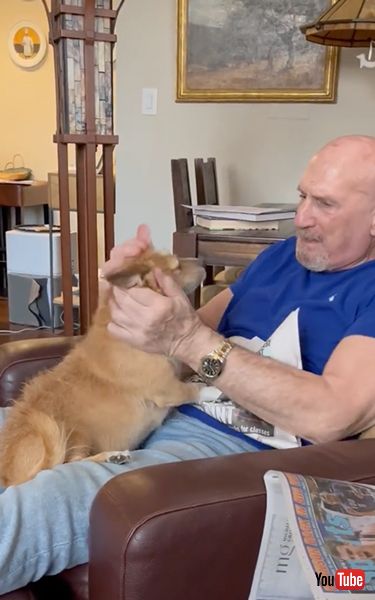 なでてもらったワンコ