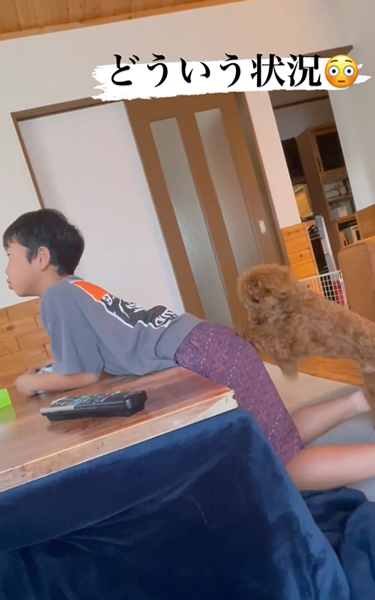 息子のお尻をホリホリするワンコ