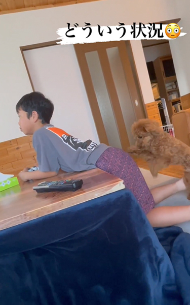 息子のお尻をホリホリするワンコ