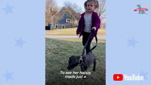 散歩する女の子と犬