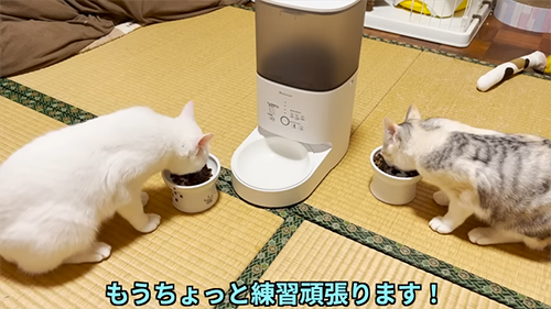 練習頑張ります