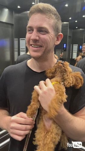 散歩に興奮して暴れる犬