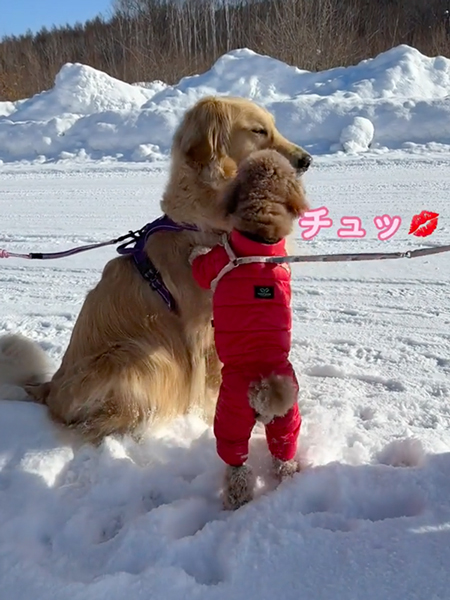 チューするワンコ