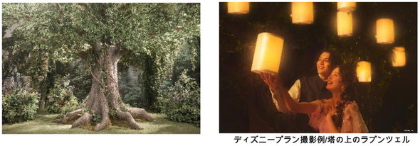 ディズニープラン