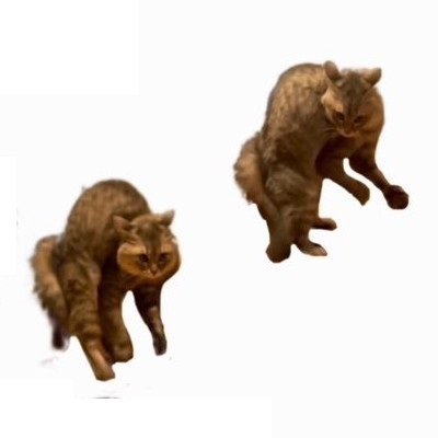 やんのかやんないのかチャート表