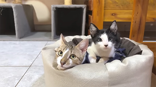 ソラ美ちゃんと