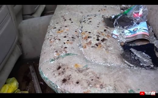 クリーニング 清掃 プロ クルマ レクサス