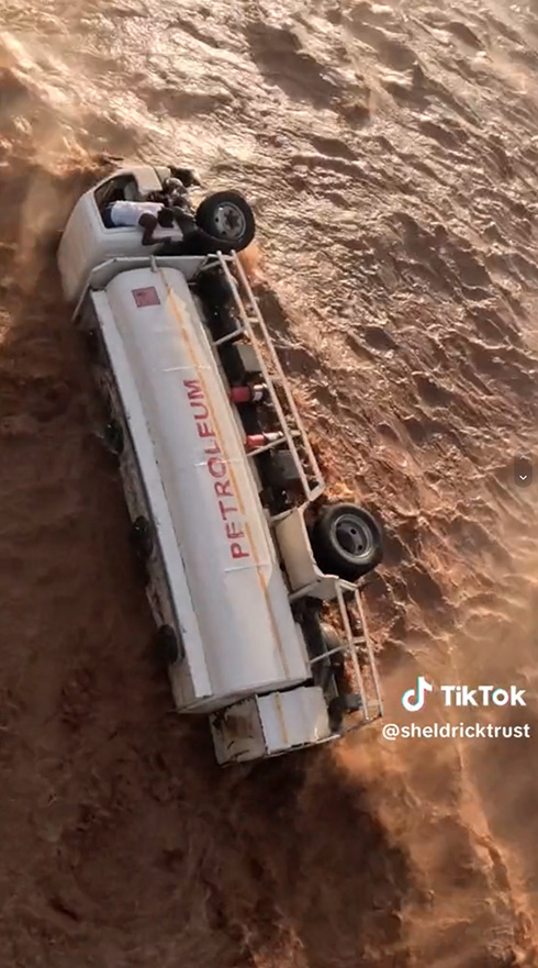 洪水 救助 自然