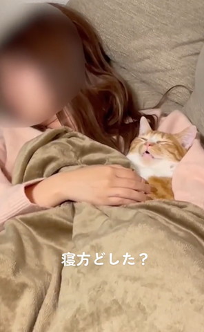 飼い主の腕枕で寝てる猫正面遠く