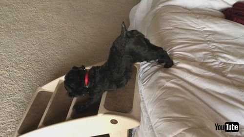 ヨガがモーニングルーティン