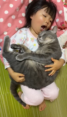 2歳娘とねこ