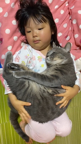 猫のお尻をトントンしようとする女の子