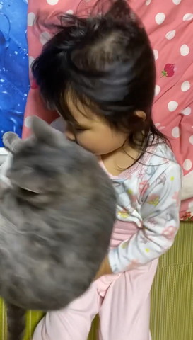 猫を移動させる女の子