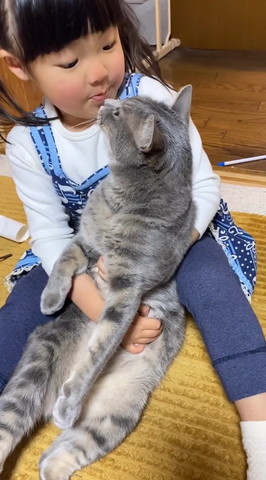 鼻チューする女の子と猫
