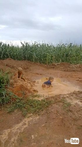 もう1人飛び込む