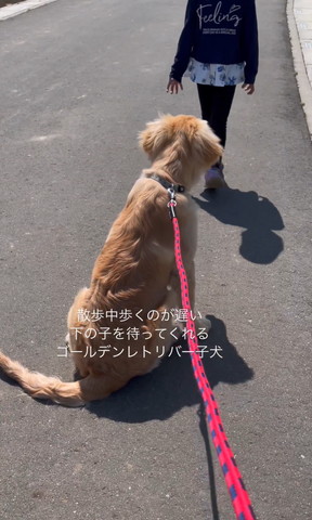 お座りしてるワンコの前に女の子