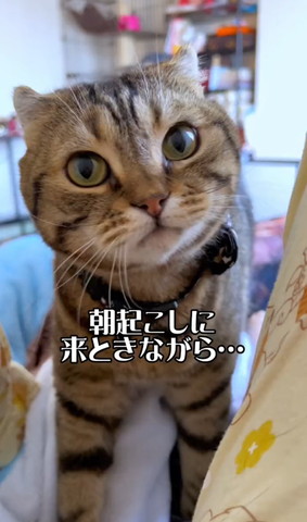 オススメ
