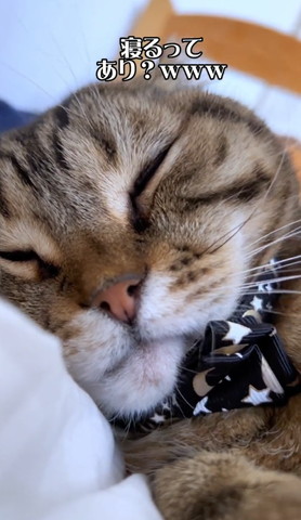 寝るってありテロップ