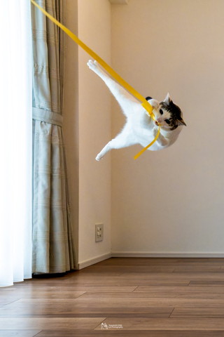 オススメ
