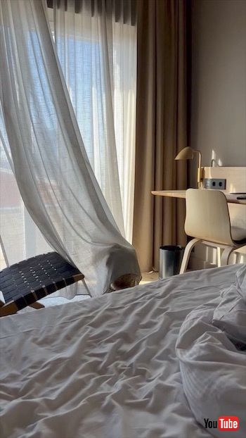 カーテンに隠れているつもりの犬