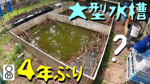 水槽の水抜いた