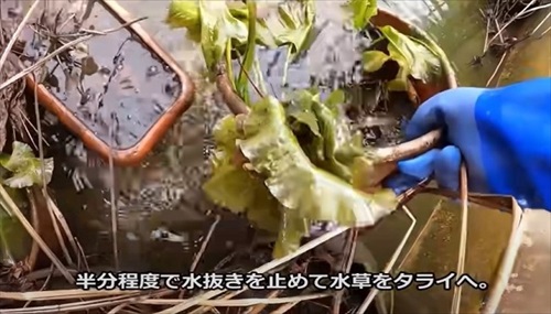 大型水槽の水を抜いてみると