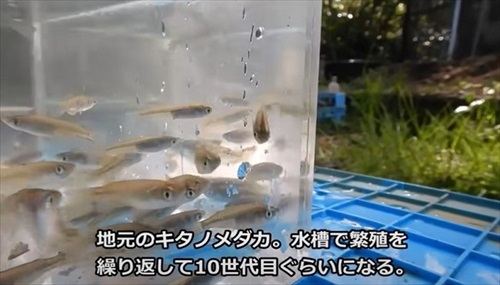 大型水槽の水を抜いてみると