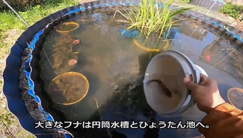 大型水槽の水を抜いてみると