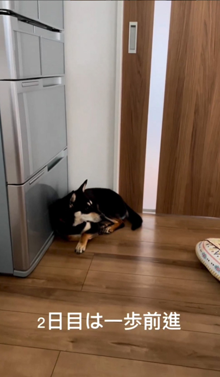 2日目のワンコ