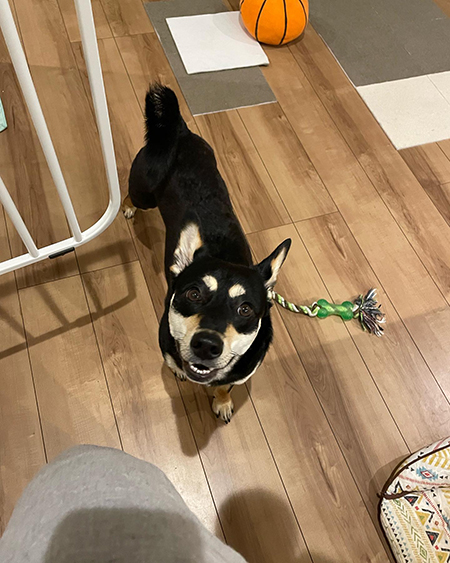 笑顔の琥鉄くん