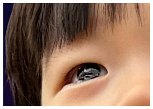 目元の拡大写真