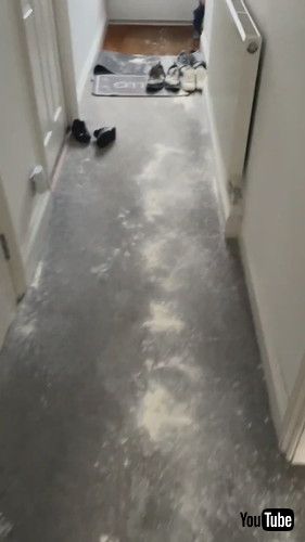 「Little Kid Makes Huge Mess With Flour All Over House - 1420759」