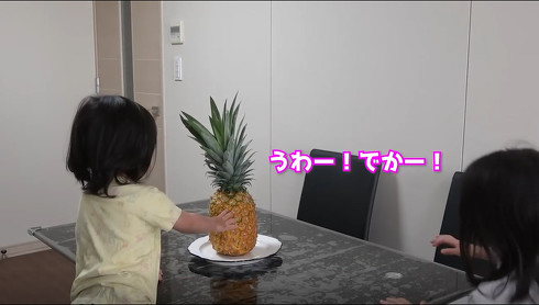 パイナップルケーキ　筒井チャンネル