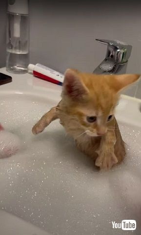 初めてのお風呂