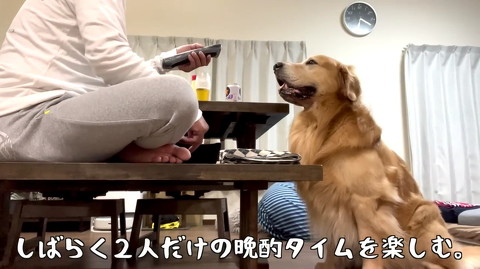犬