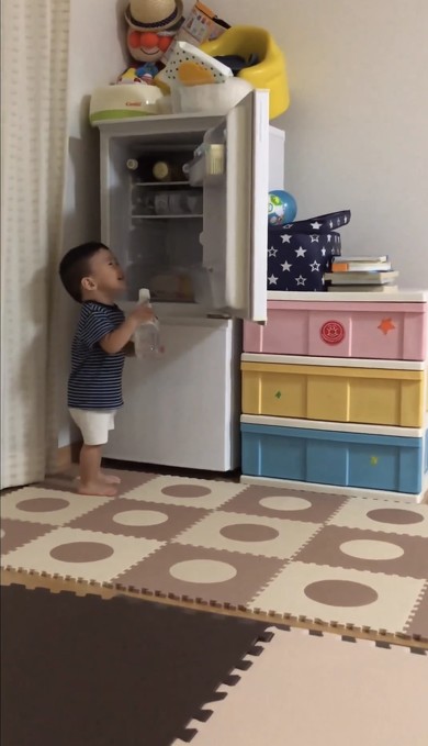 冷蔵庫チャレンジ