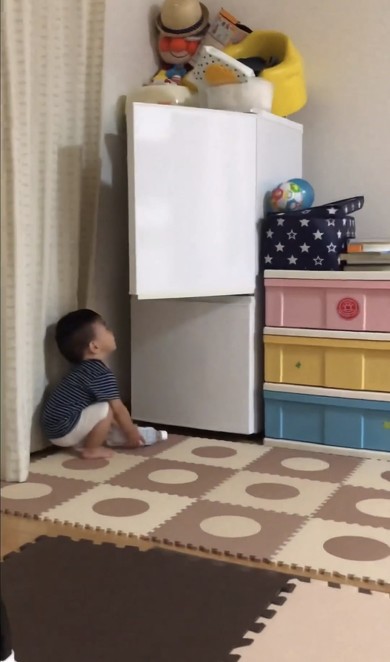 冷蔵庫チャレンジ