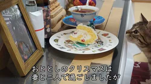 クリスマスを過ごす子猫