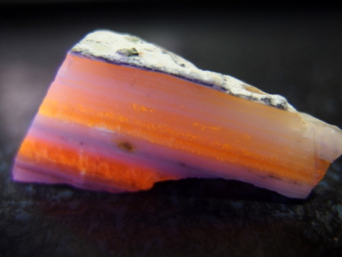 ベーコンのような北海道産オパール