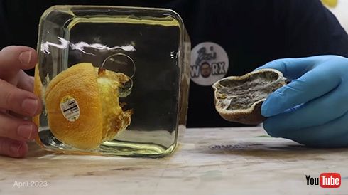 実験 オレンジ レジンアート