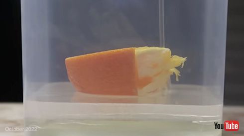 実験 オレンジ レジンアート