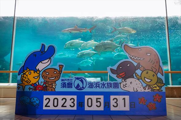 神戸市立須磨海浜水族園 須磨海浜水族園 閉園