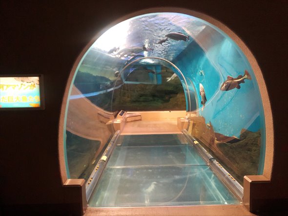 神戸市立須磨海浜水族園 須磨海浜水族園 閉園