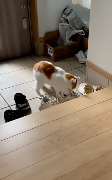 靴の中が気になる