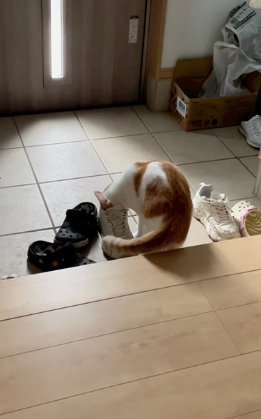 靴の中が気になる