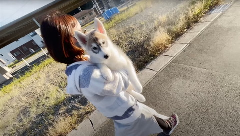 抱っこしてもらう子犬