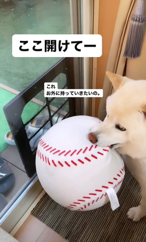 これお外に持って行きたいテロップ